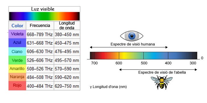 Hasta dónde llega el ojo humano al leer un color | Colorbatch